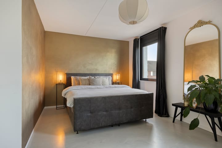 Photo 22 of Zebrakever 30