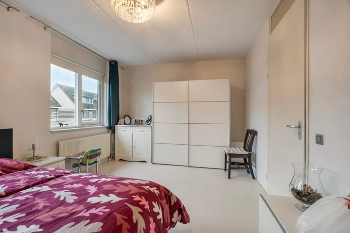 Foto 18 van Populierenhout 14