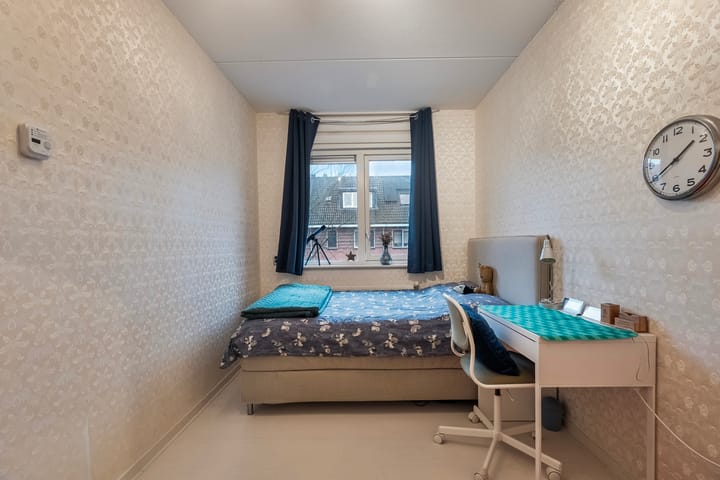 Foto 21 van Populierenhout 14