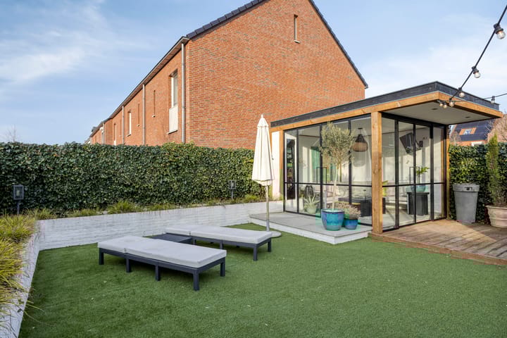 Photo 37 of Zebrakever 30