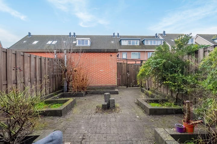 Foto 29 van Populierenhout 14