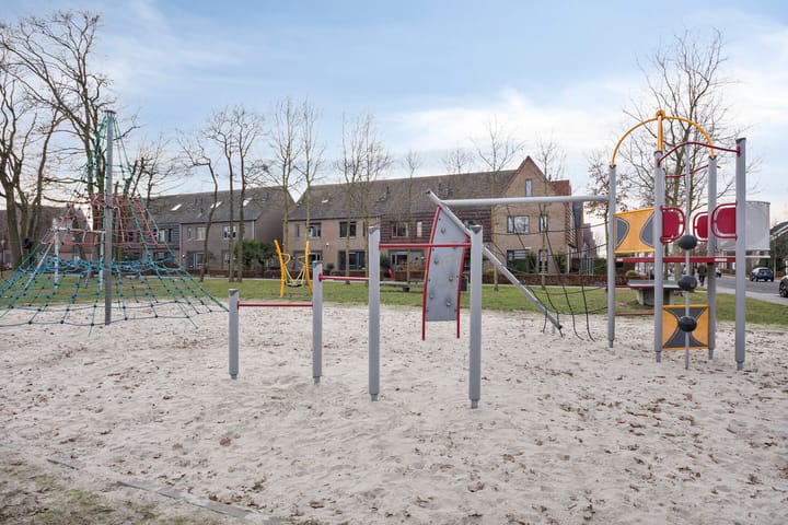 Photo 40 of Zebrakever 30