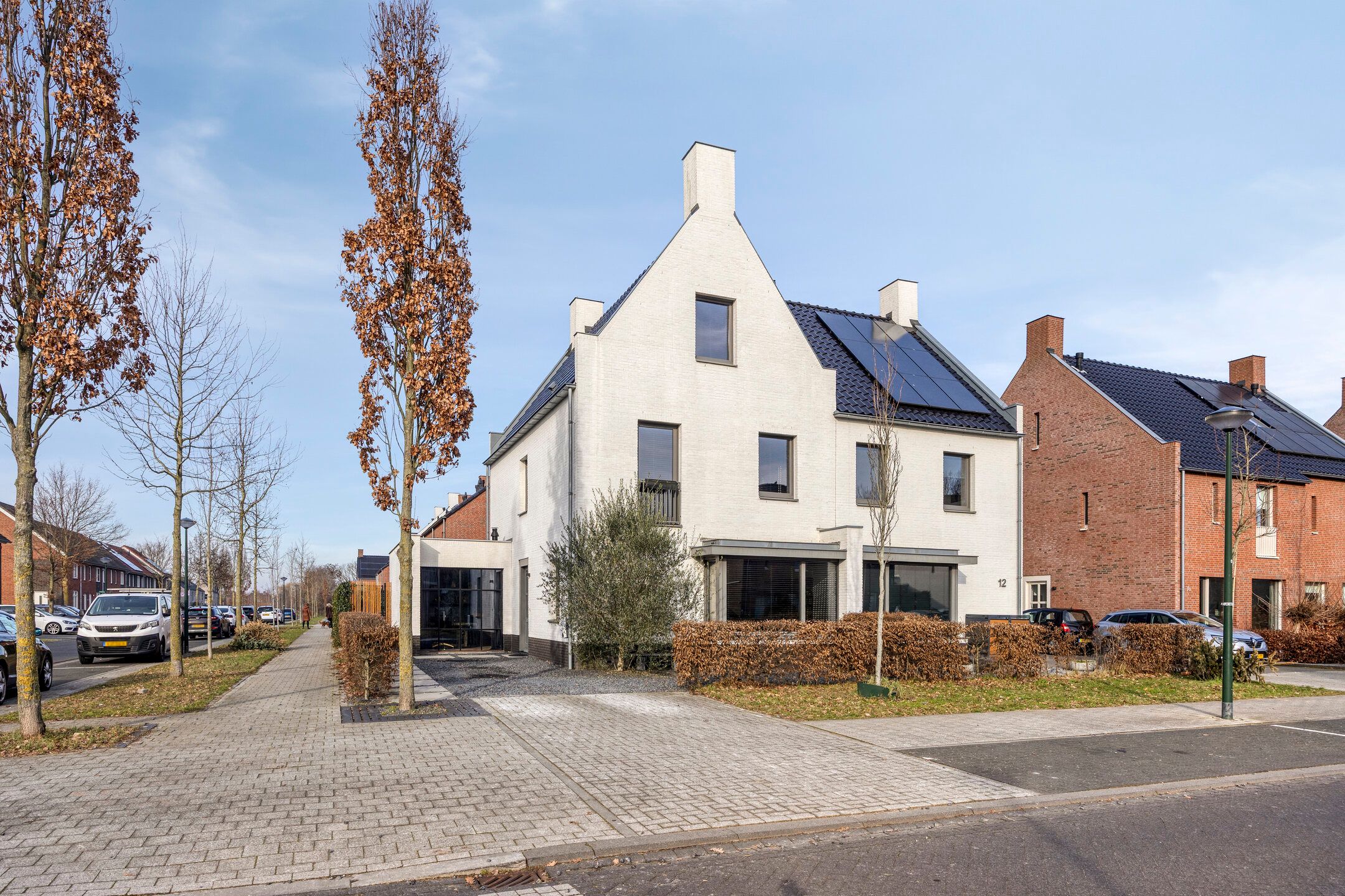 Photo 42 of Zebrakever 30