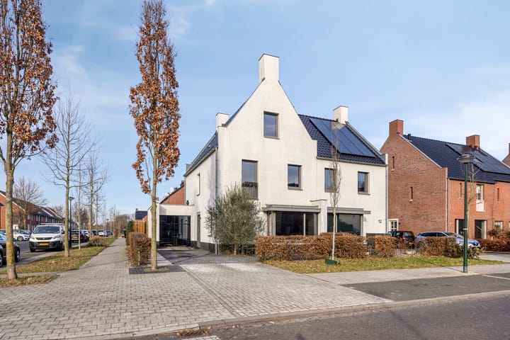 Photo 42 of Zebrakever 30