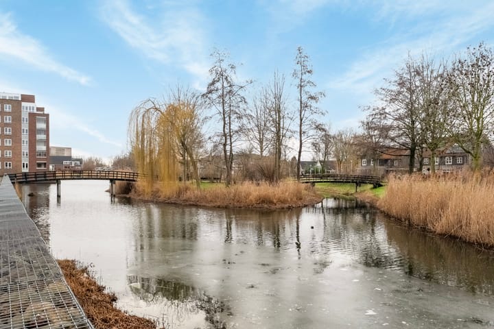 Foto 33 van Populierenhout 14