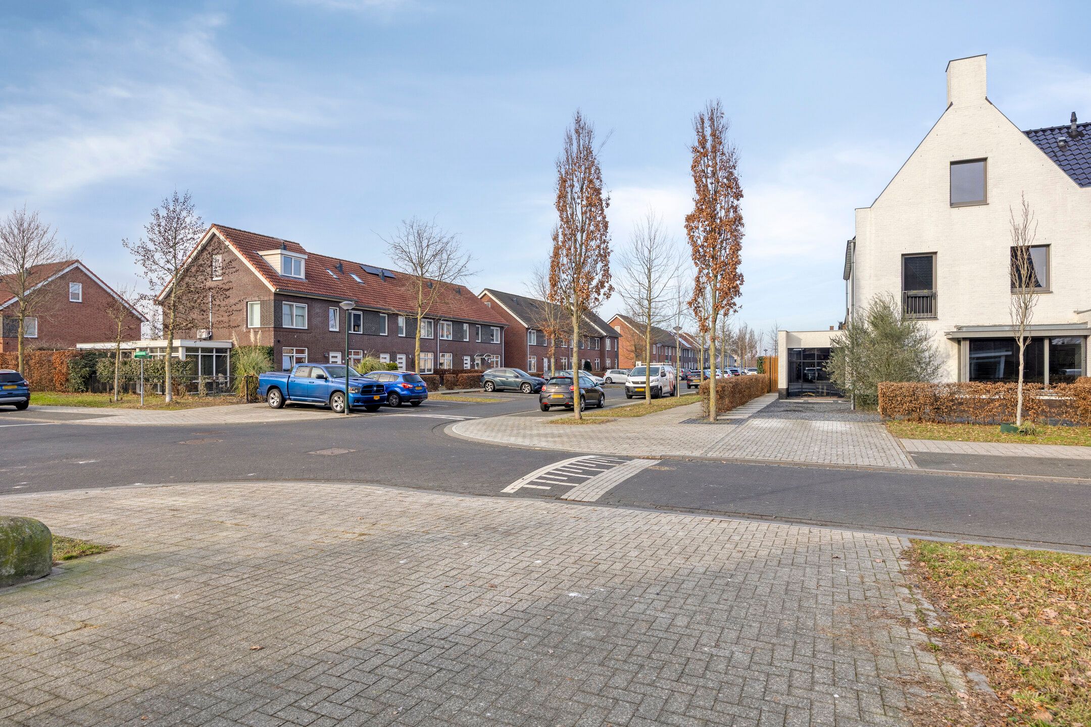 Photo 45 of Zebrakever 30