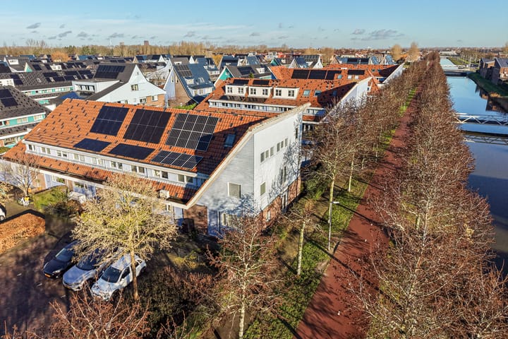 Foto 4 van Wollegras 62