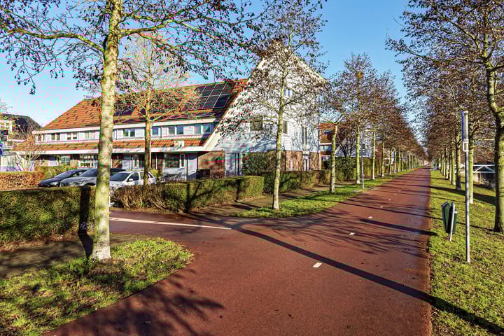 Foto 53 van Wollegras 62