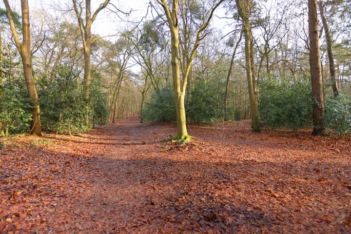 Foto 46 van Engweg 2