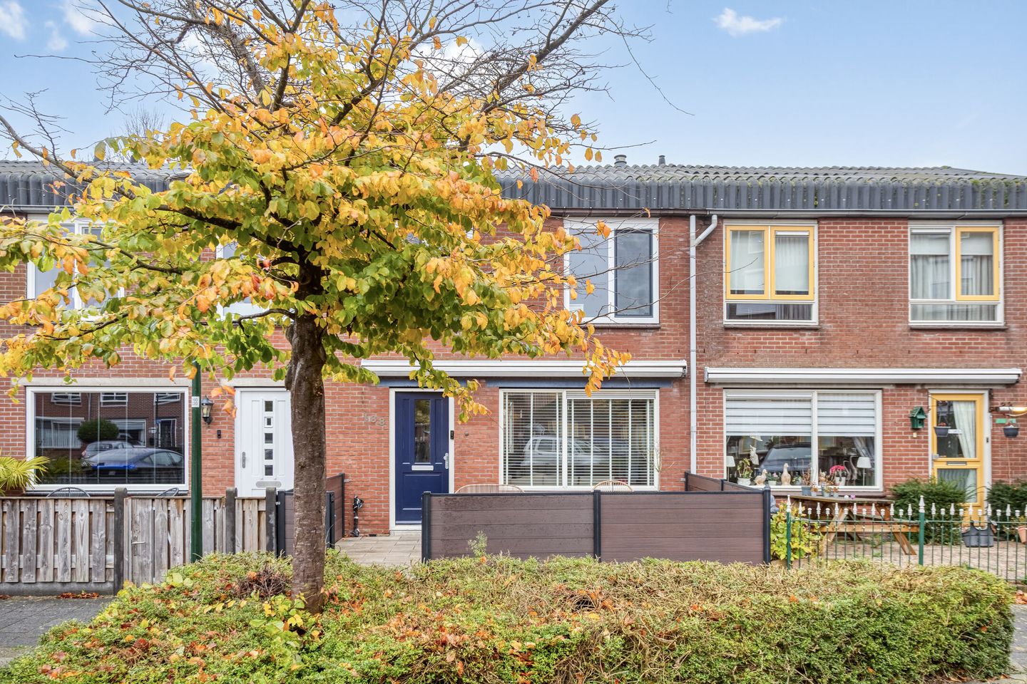 Photo 34 of Zebraspoor 188