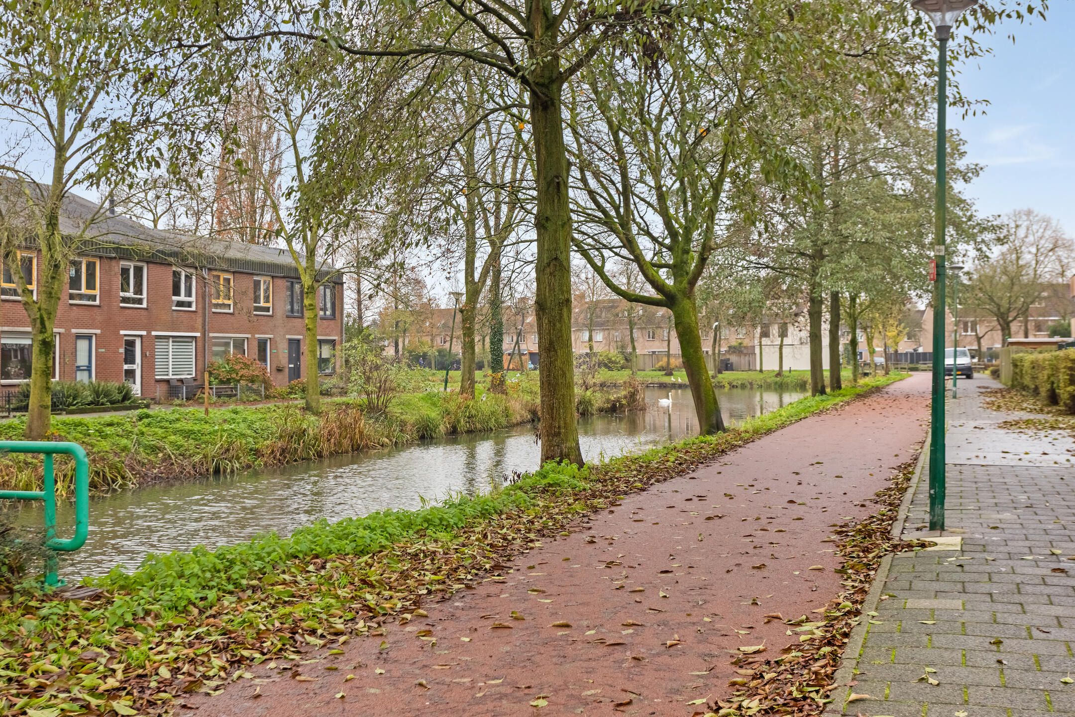 Photo 39 of Zebraspoor 188