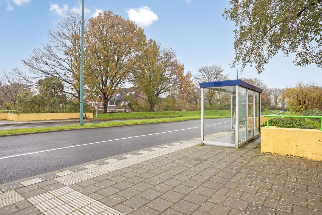 Photo 41 of Zebraspoor 188