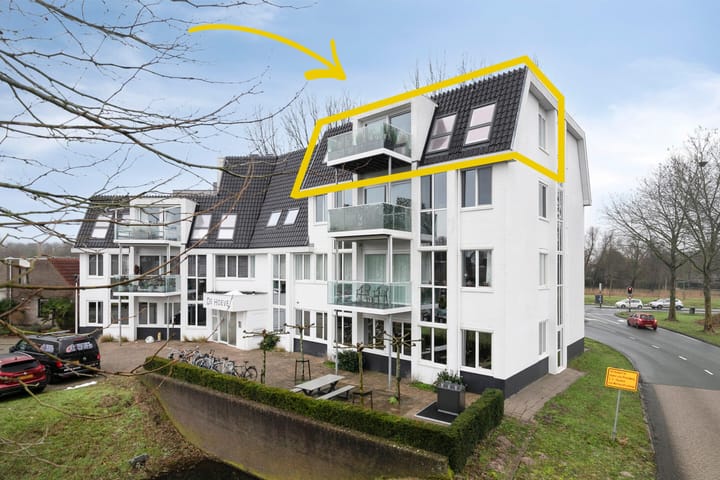 Paardenhoeve 100 main image