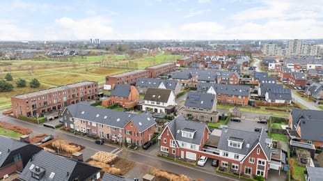 Honingzwam 23 secondary image