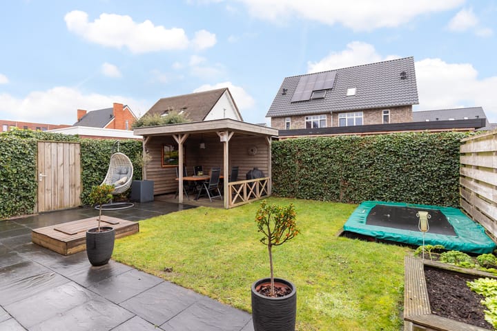 Foto 14 van Honingzwam 23