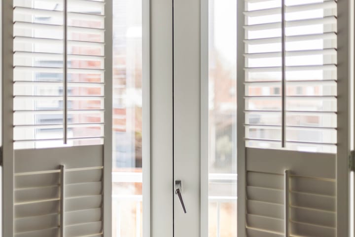 Foto 21 van Honingzwam 23