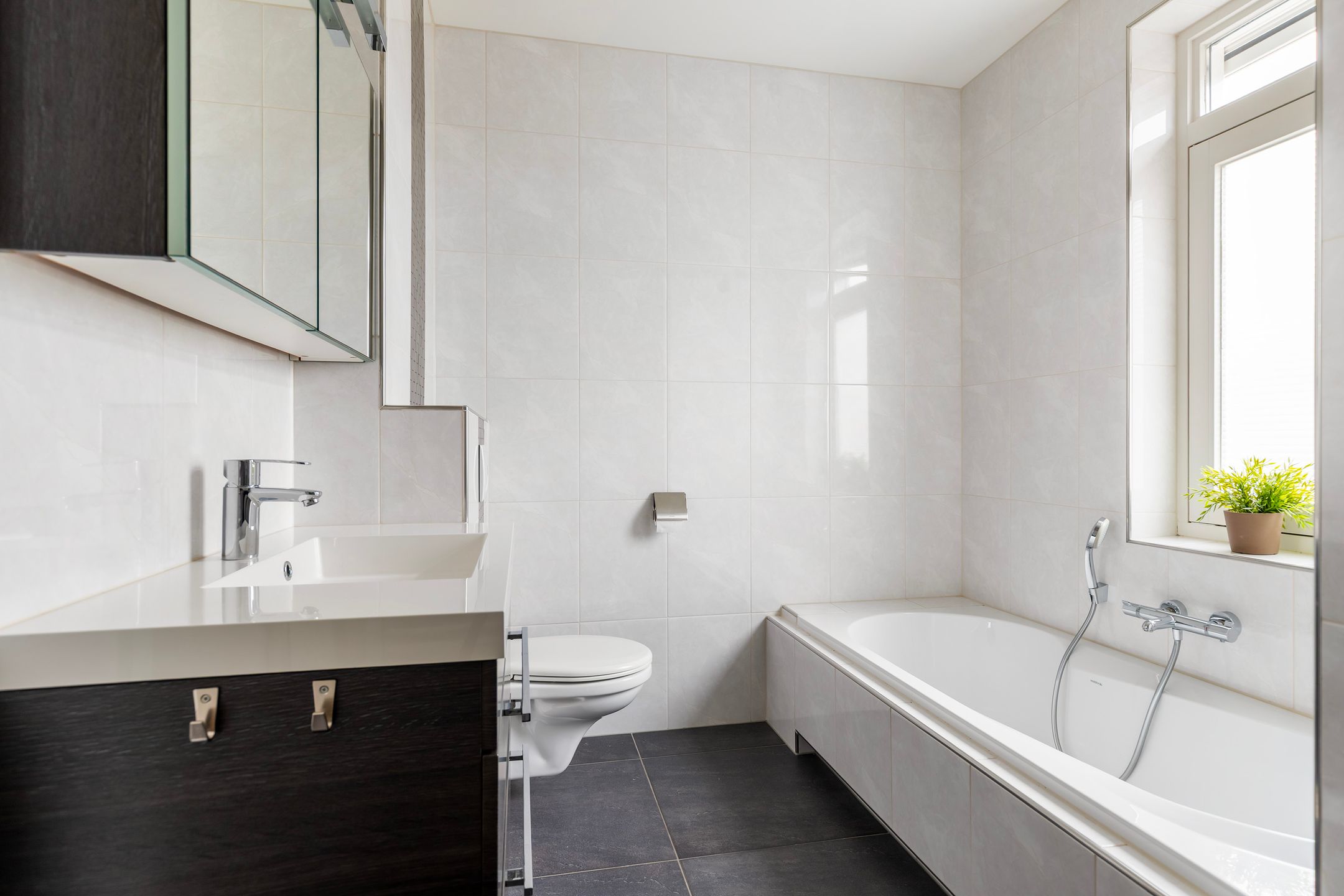 Foto 24 van Honingzwam 23