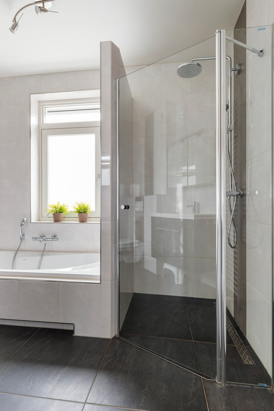 Foto 26 van Honingzwam 23