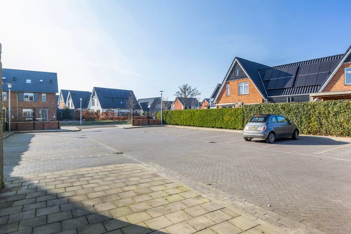 Foto 37 van Honingzwam 23