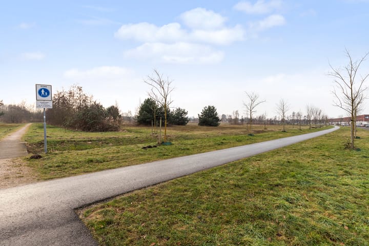 Foto 39 van Honingzwam 23