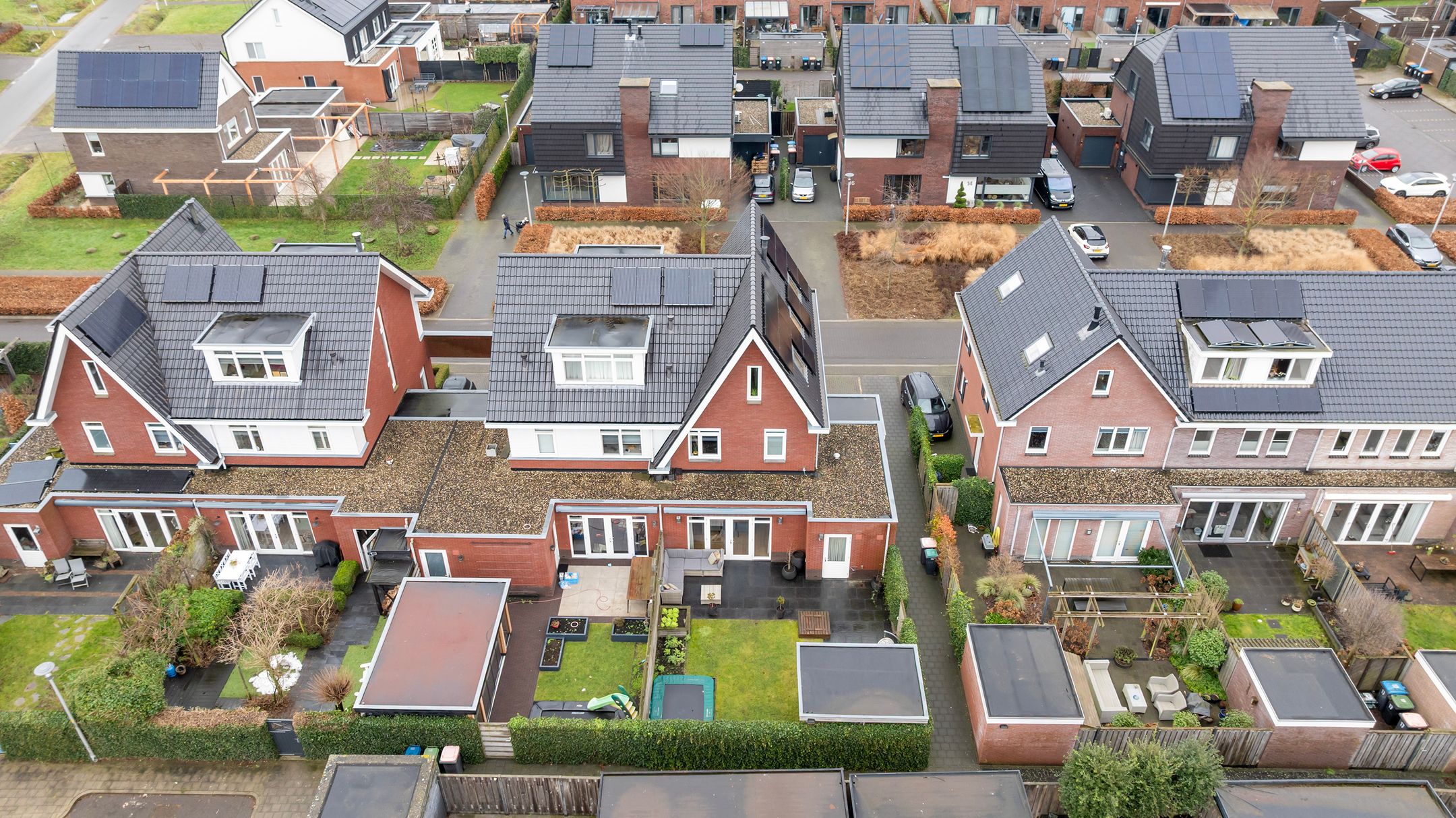 Foto 42 van Honingzwam 23