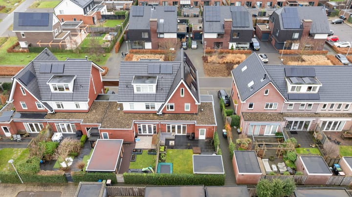 Foto 42 van Honingzwam 23