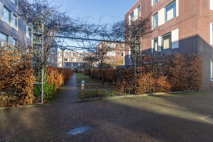 Foto 33 van Beeldsnijdersgaarde 21