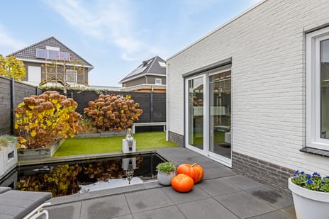 Rietdekker 21 tertiary image