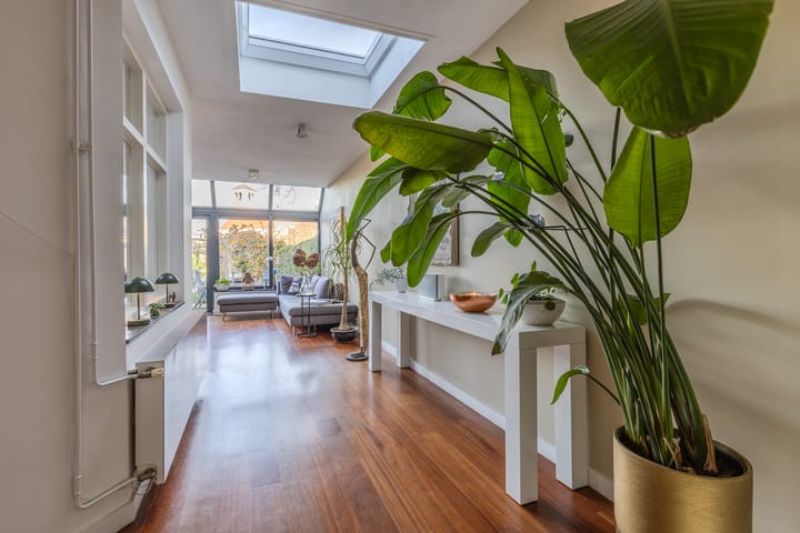 Foto 10 van Frankenstraat 154