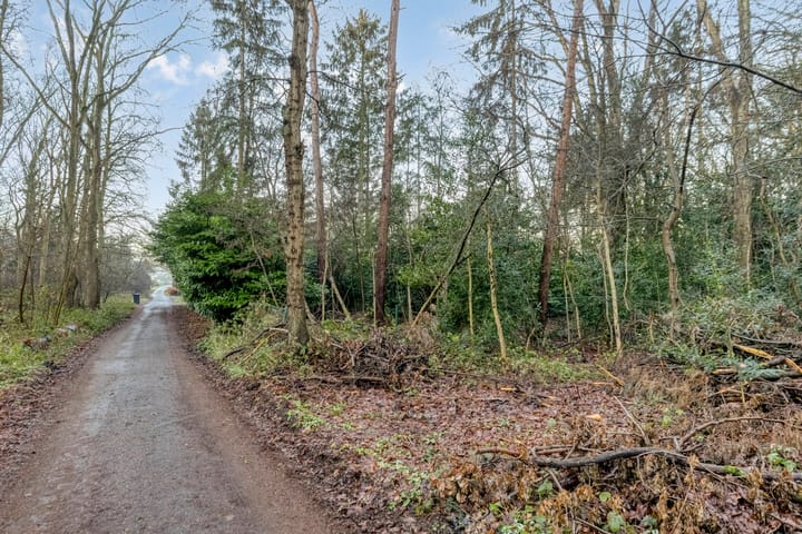 Foto 32 van Heistraat 19