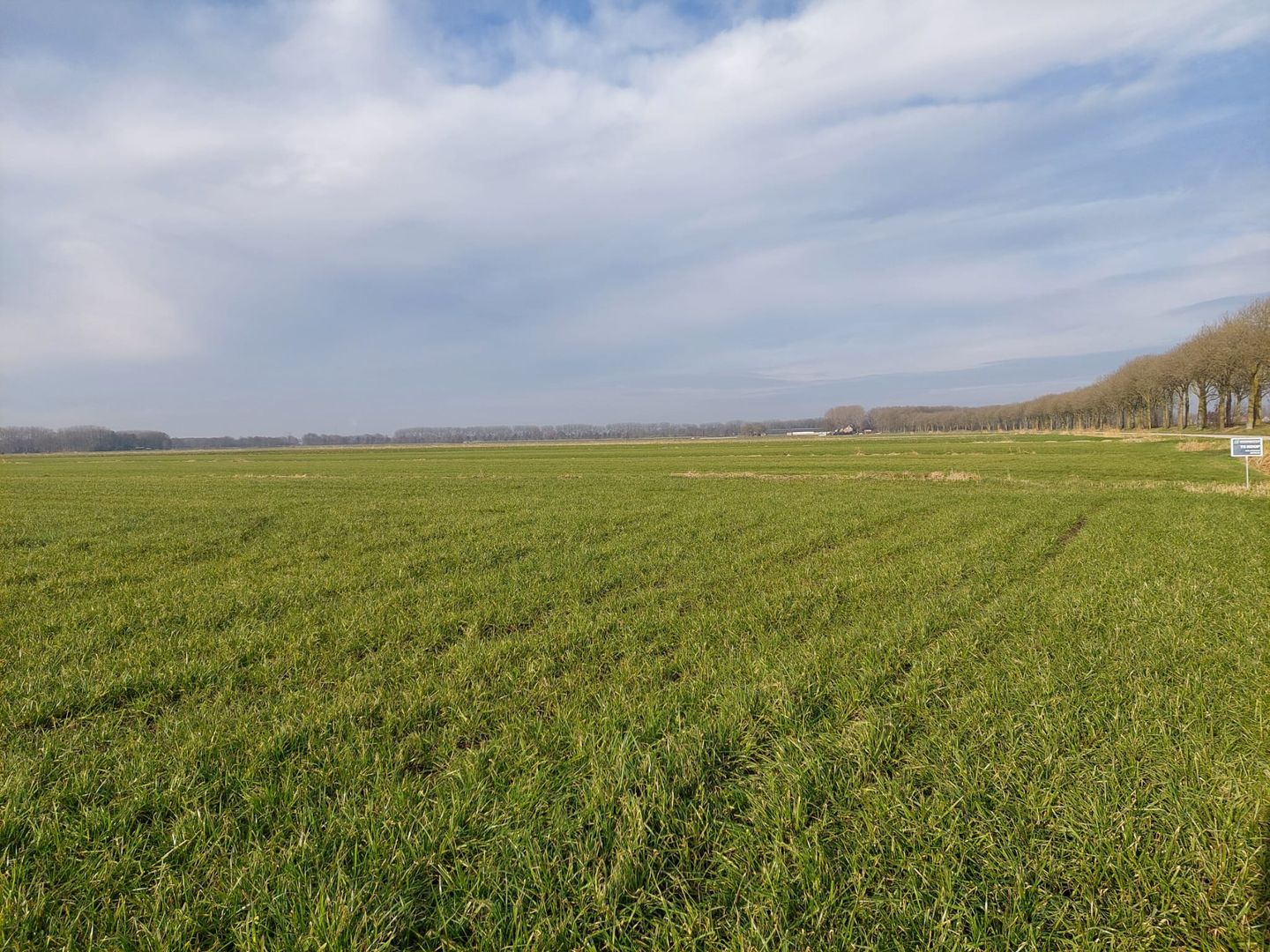 Bekijk foto 1 van Waspikse Weg