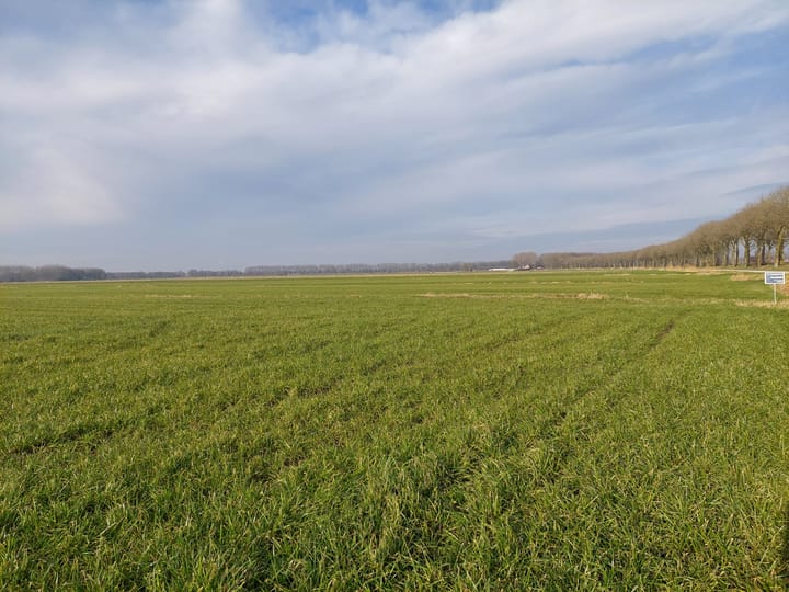 Waspikse Weg, 's Gravenmoer