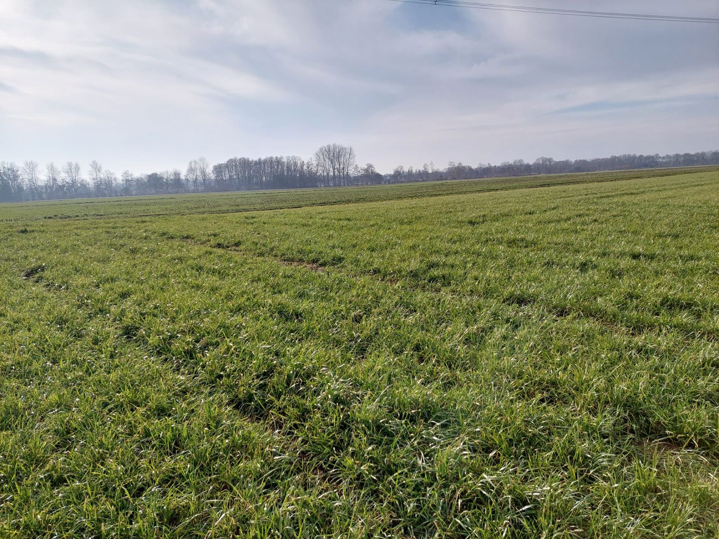 Bekijk foto 3 van Waspikse Weg