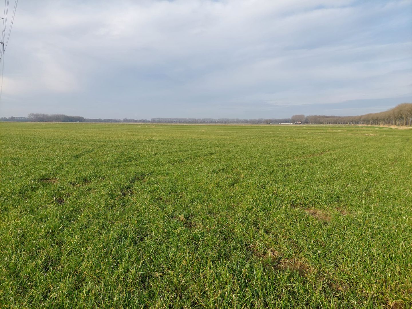 Bekijk foto 2 van Waspikse Weg