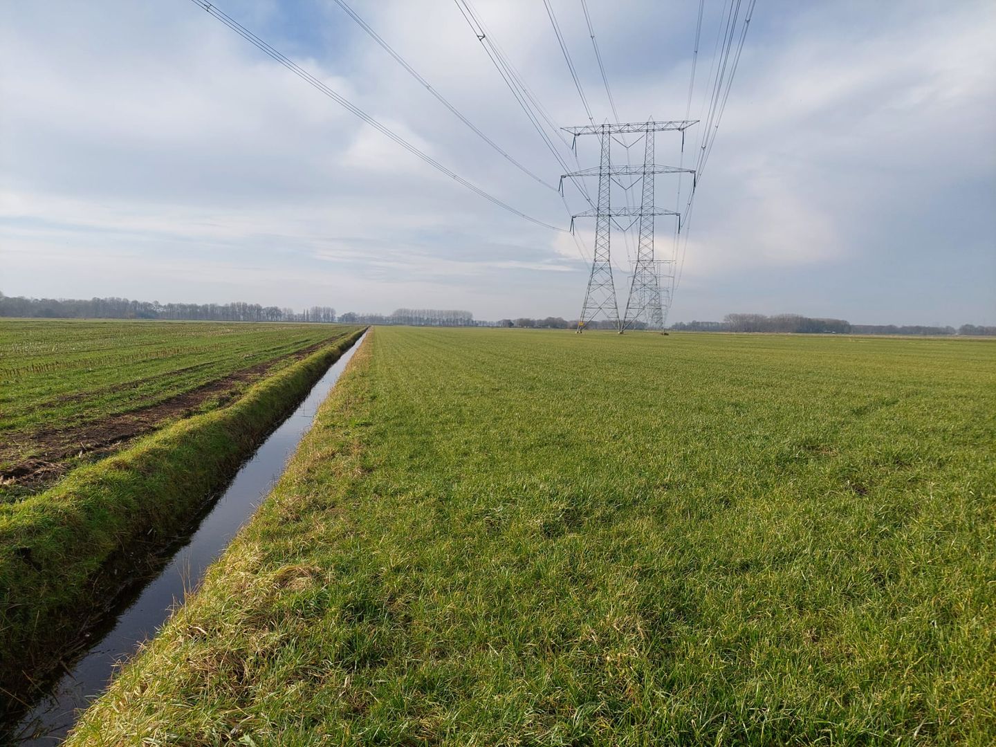 Bekijk foto 5 van Waspikse Weg