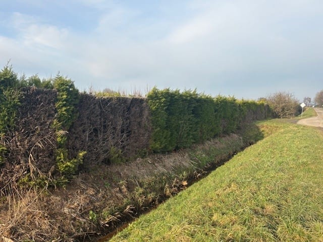 View photo 5 of Hellegatsweg