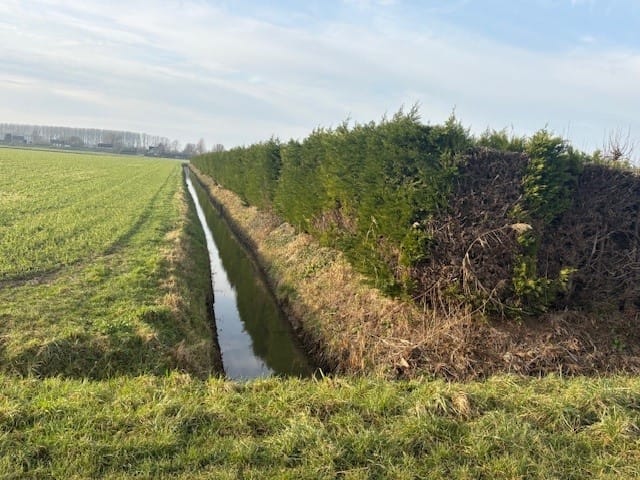 View photo 4 of Hellegatsweg