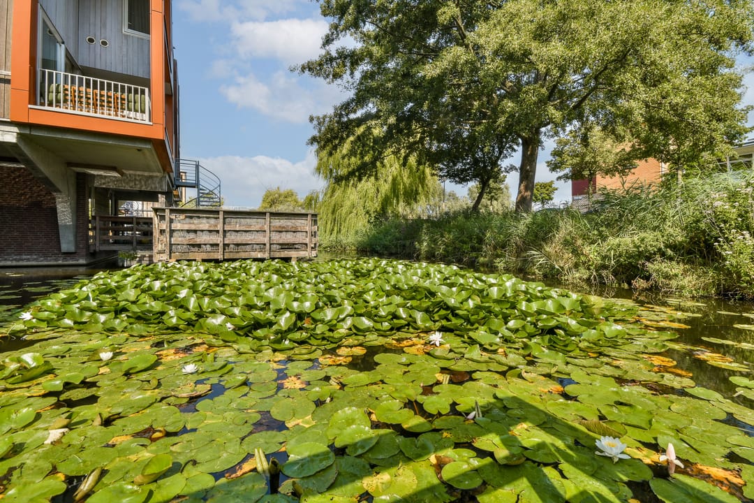 Foto 32 van Schillingdijk 4