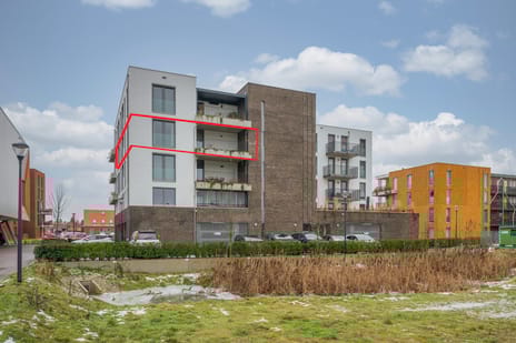 undefined main image