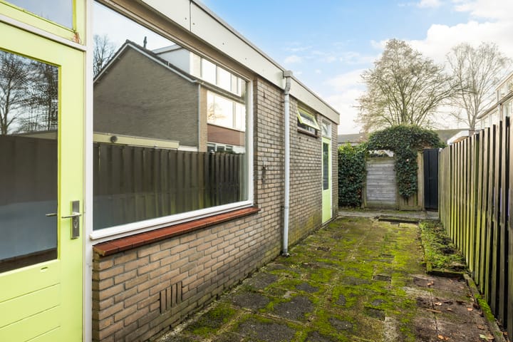 Foto 38 van Witte de Withlaan 35