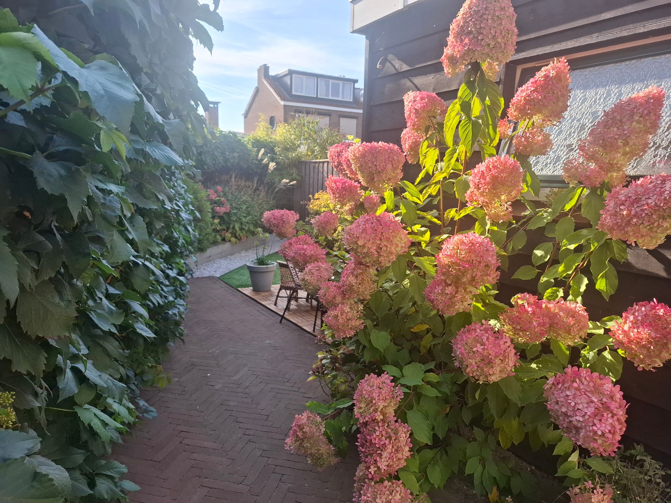 Foto 48 van Sibeliusstraat 5