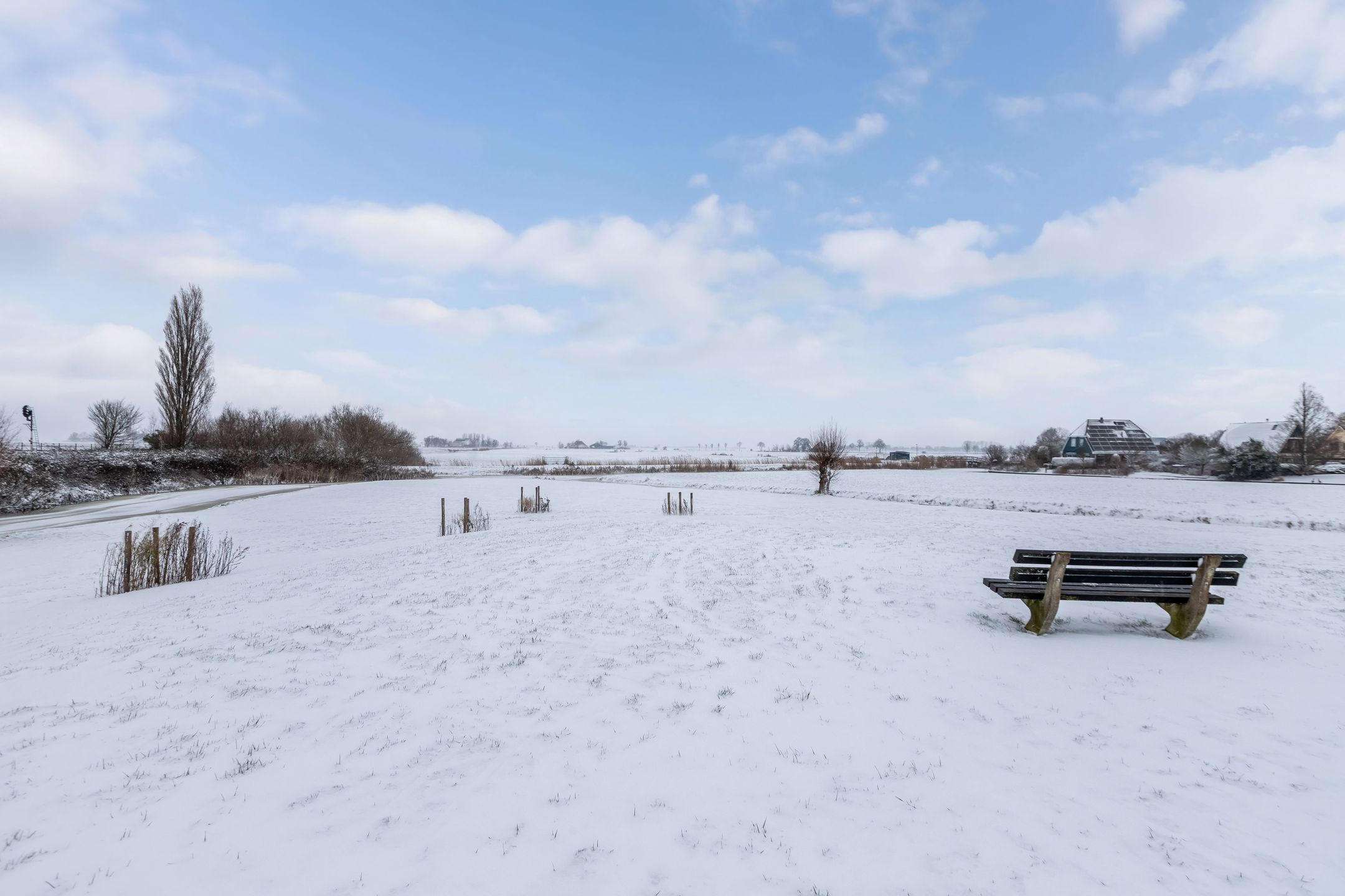 Photo 24 of It Spyk 16