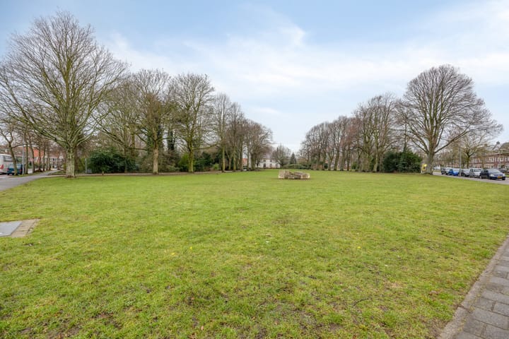 Foto 45 van Iepenstraat 17