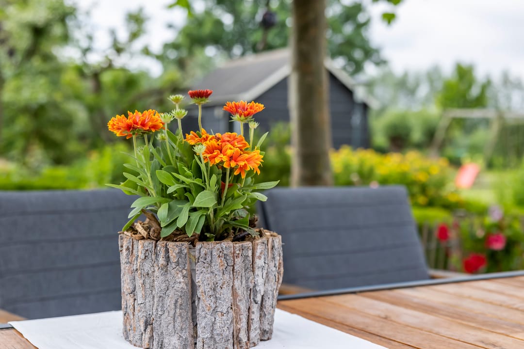 Foto 23 van Muisbroekseweg 9