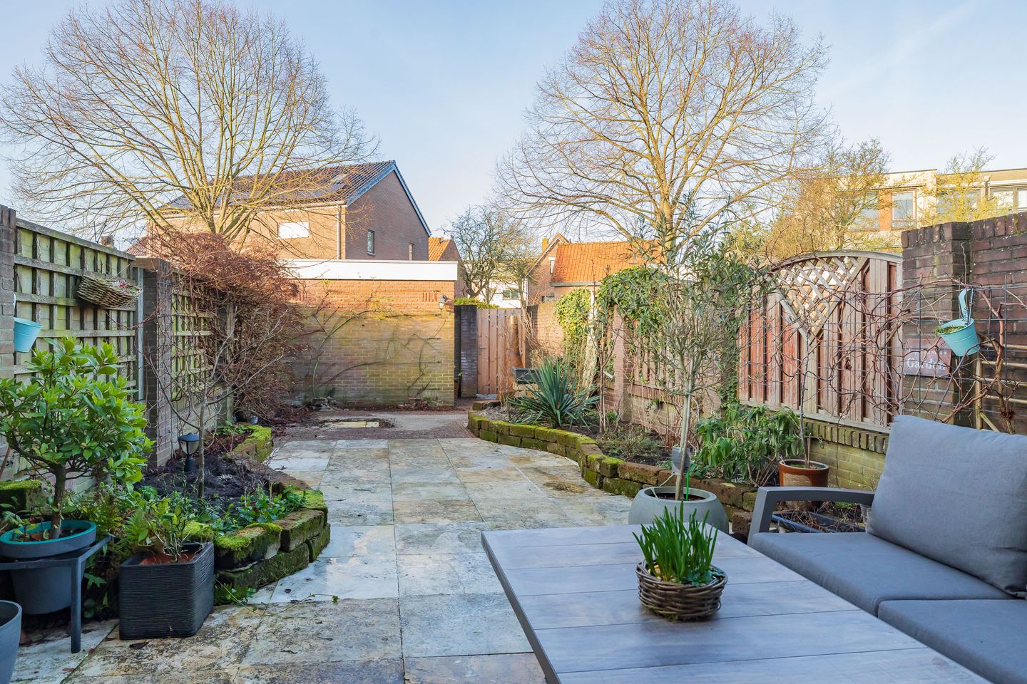 Photo 5 of Stokroos 8