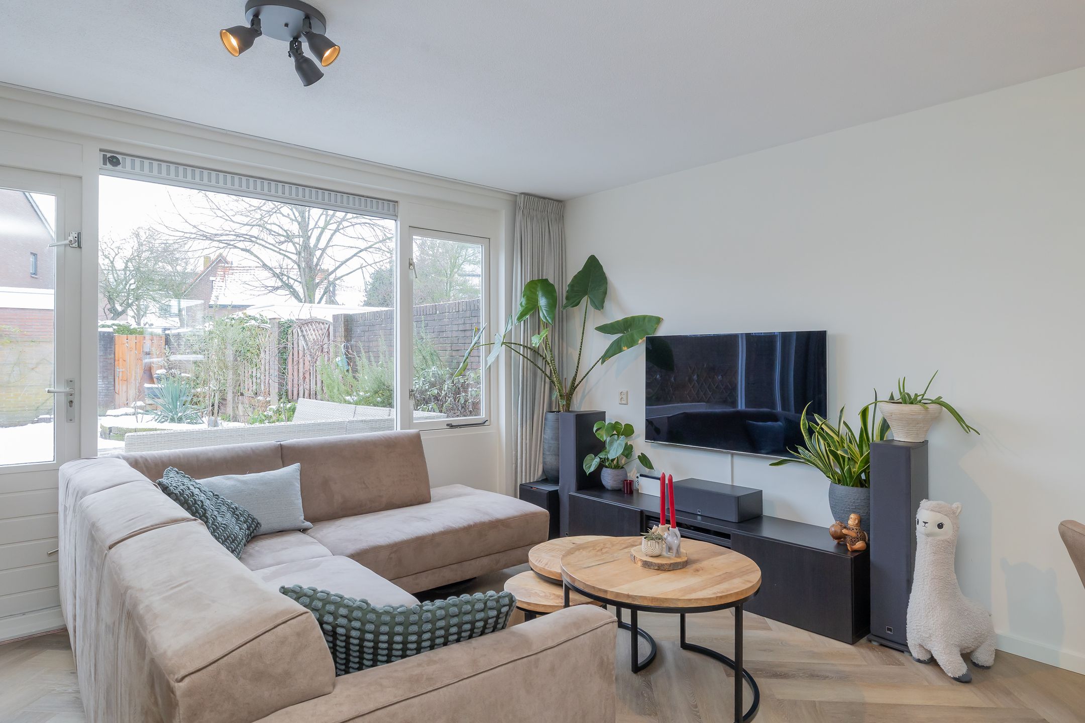 Photo 12 of Stokroos 8