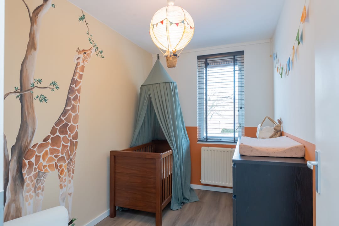 Photo 17 of Stokroos 8