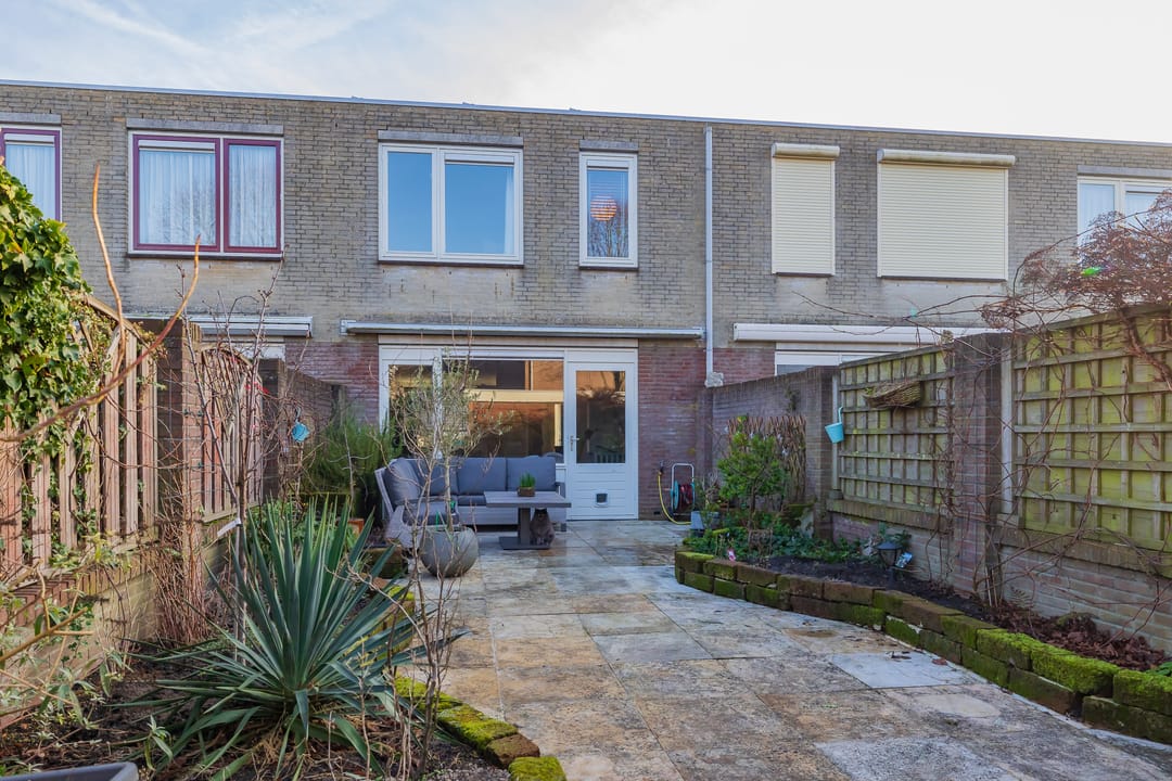 Photo 7 of Stokroos 8