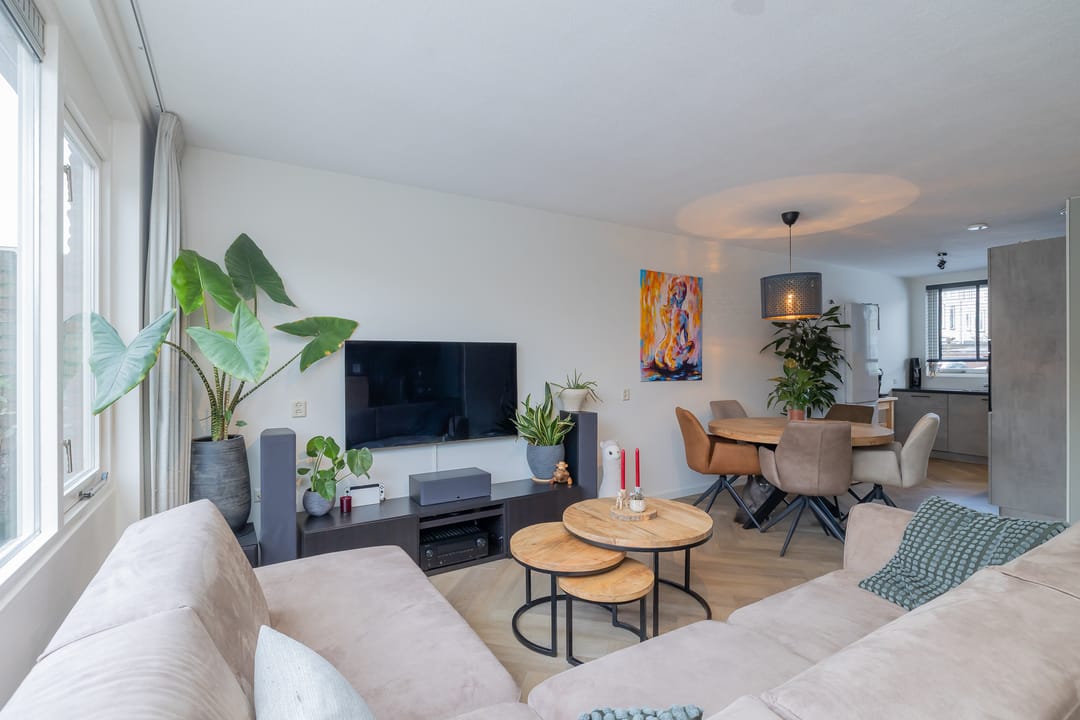 Photo 13 of Stokroos 8