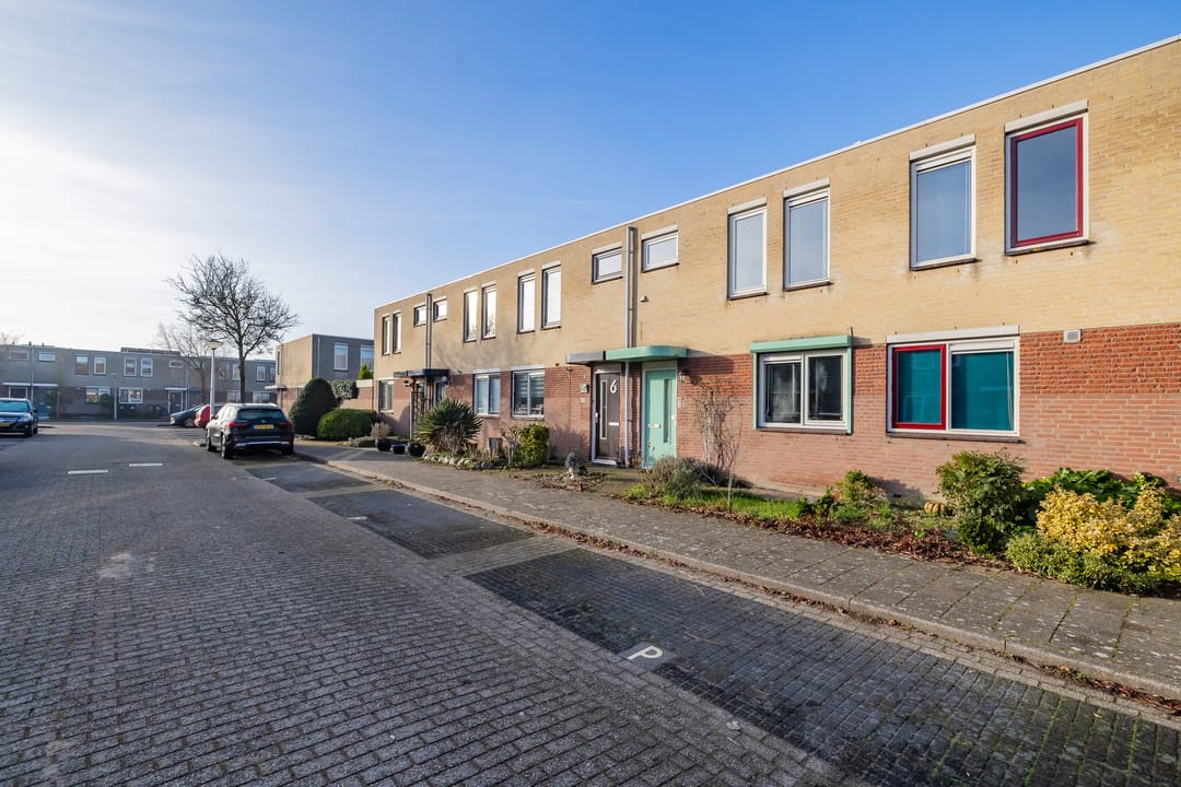 Photo 28 of Stokroos 8